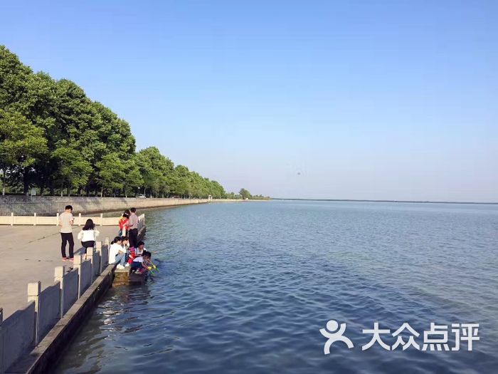 安丰塘-图片-寿县周边游-大众点评网