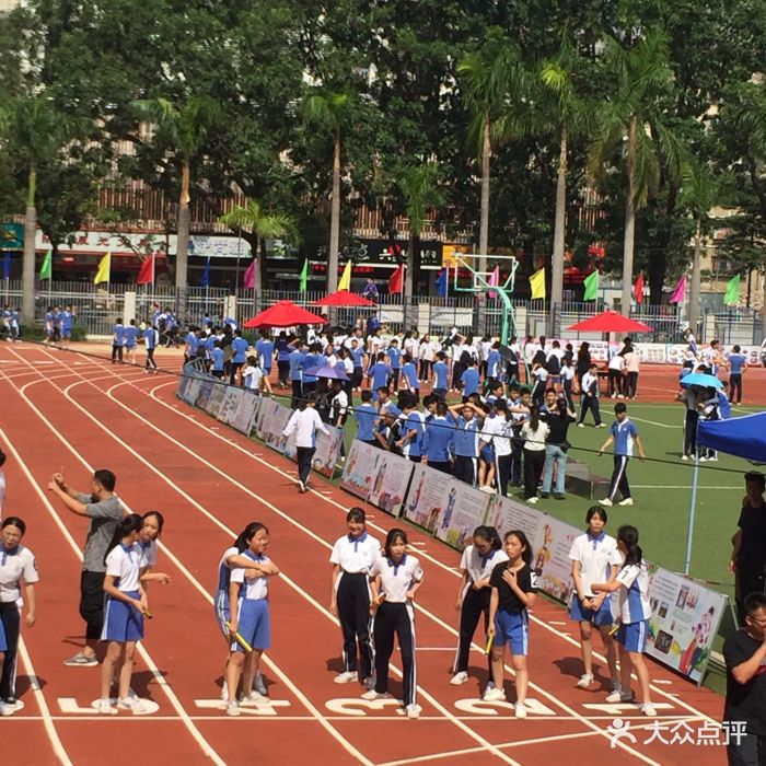 海滨中学-图片-深圳学习培训-大众点评网