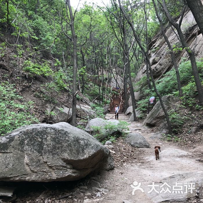 大岭沟猕猴桃谷风景区
