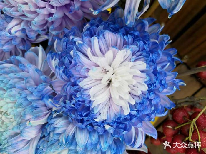 夏天夏天悄悄过去留下小秘密压心底~压心底.