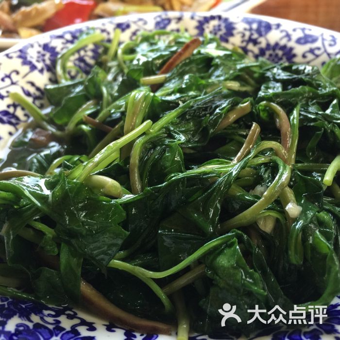 龙凤徽菜楼时令野菜图片-北京徽菜-大众点评网