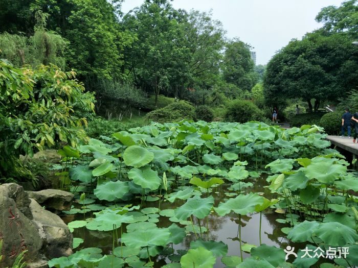 重庆理工大学(花溪校区)图片 - 第14张