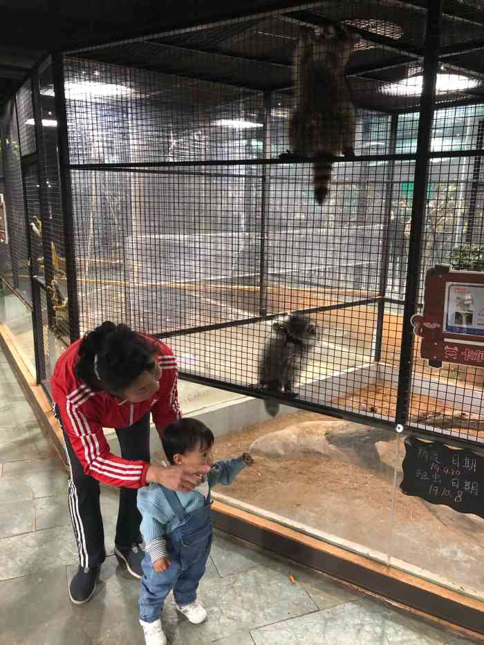卡尔的萌宠庄园-"今天带孩子来卡尔萌宠乐园玩,女儿两岁7个.