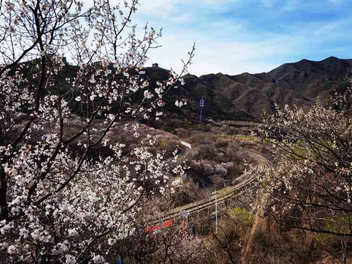 居庸关花海-"打卡网红景点居庸关花海栈道(免费景点)