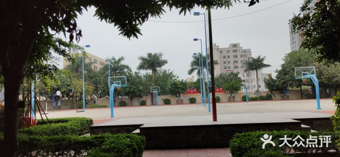 汕头市嘉顿学校图片