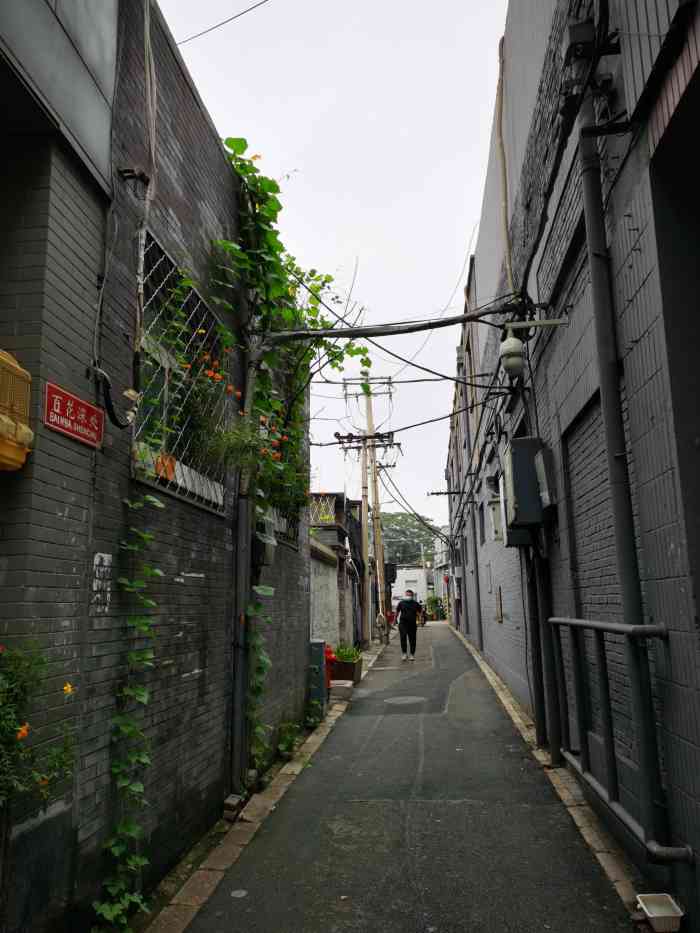 百花深处胡同