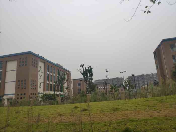 杭州市第十五中崇德中学-"杭州市十五中教育集团崇德