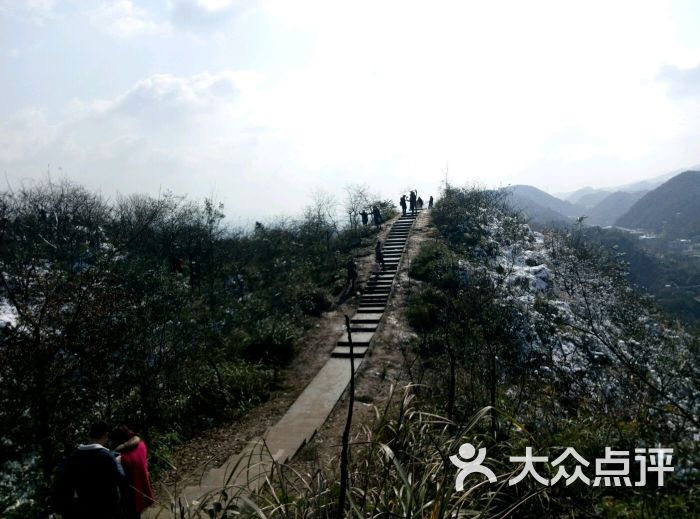 尖刀山森林公园图片 - 第31张