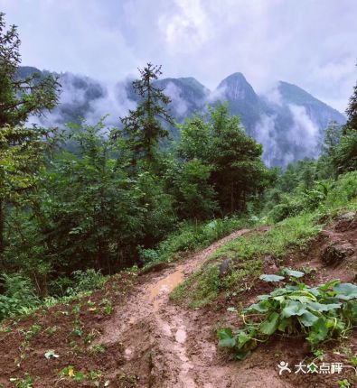 Enshi: Qué ver, excursiones, alojamientos - Hubei, China - Foro China, Taiwan y Mongolia