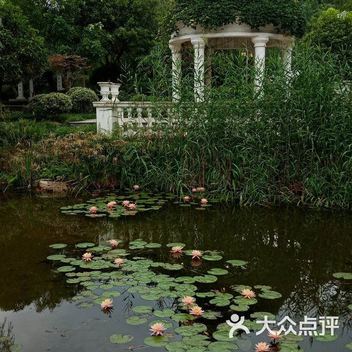 重庆园博园图片-北京植物园-大众点评网