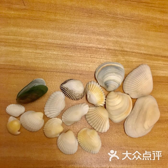 纪念品自己捡的小贝壳