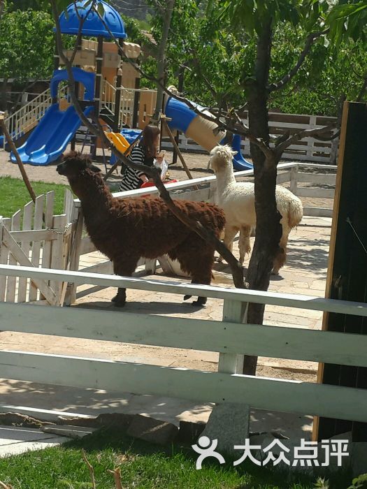 普拉托休闲度假小镇-图片-北京景点