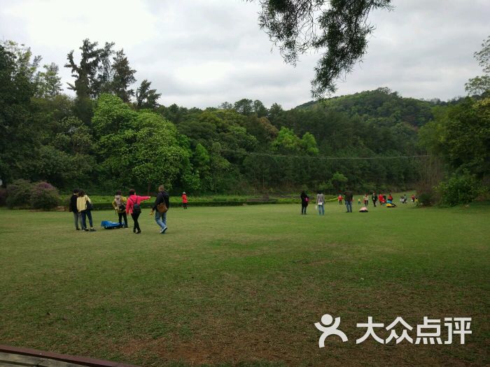 良凤江菩提山庄-图片-南宁美食-大众点评网