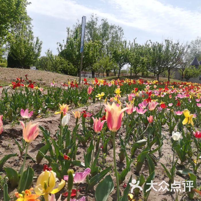 郁金香温泉花园度假村图片-北京温泉-大众点评网