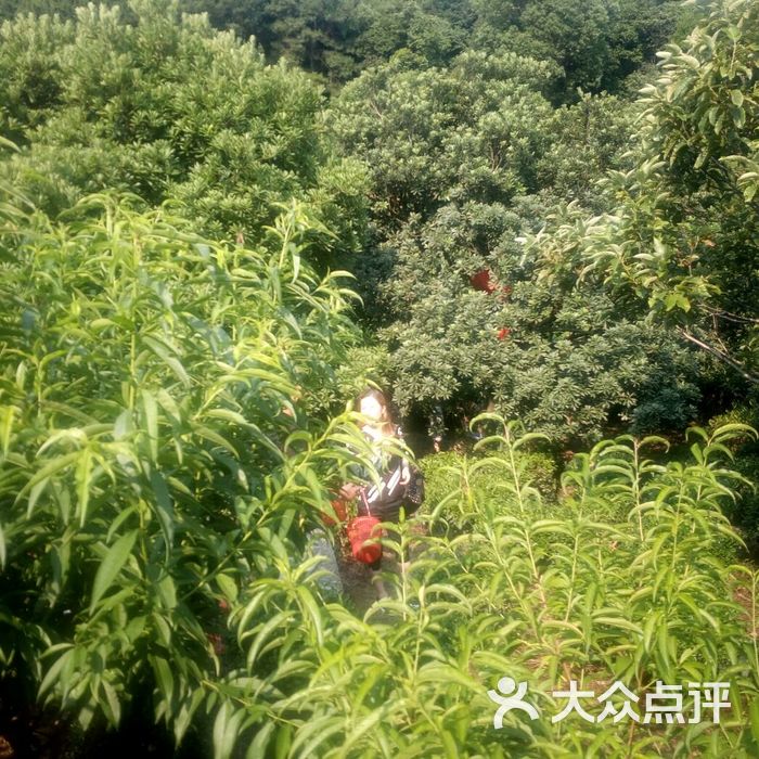 天王山农家院