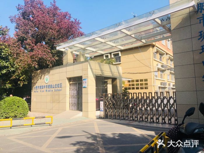 合肥市琥珀中学图片