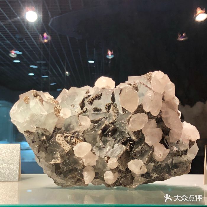 中国地质博物馆图片 第8张