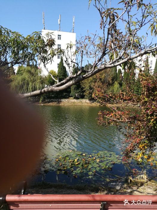 江苏师范大学(泉山校区)图片 第21张