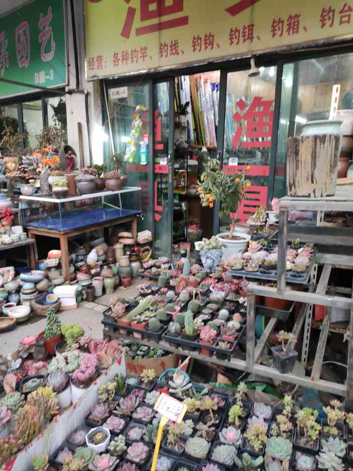 黄山花鸟市场(菩提阁黄山店)-"可能是城市规划的原因