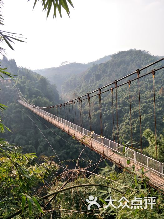 川西竹海峡谷自然景区(金鸡谷)图片 - 第6张