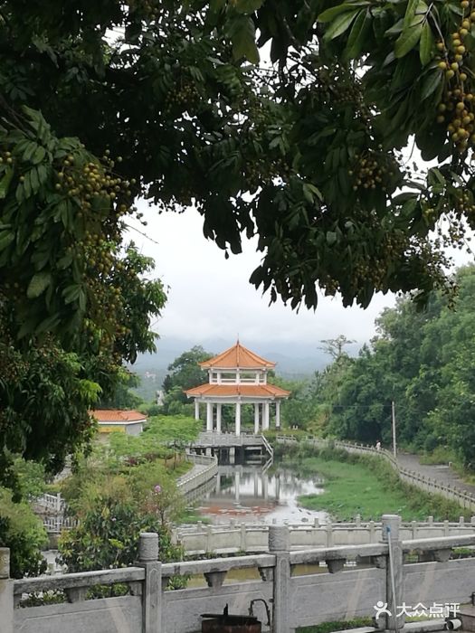 大垌山净业寺-图片-阳西县周边游-大众点评网