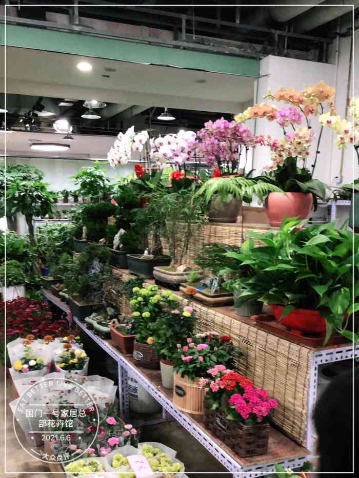 国门一号家居总部花卉馆