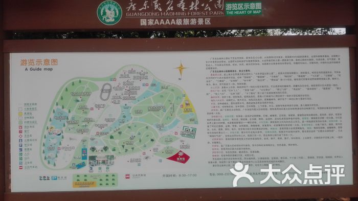 茂名森林公园图片 - 第29张