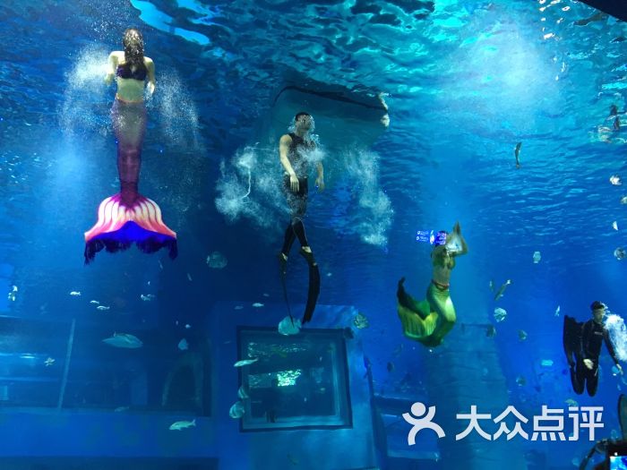 正佳极地海洋世界图片 - 第8张