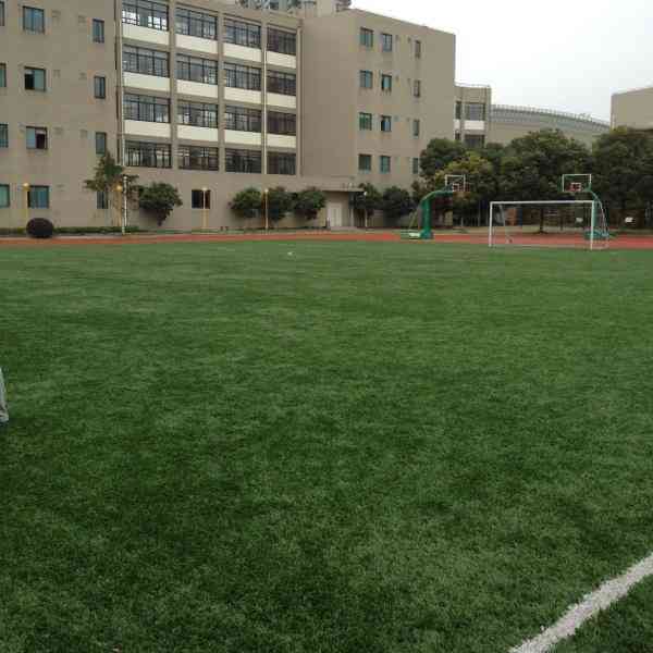 上海市洋泾中学(浦电路校区)