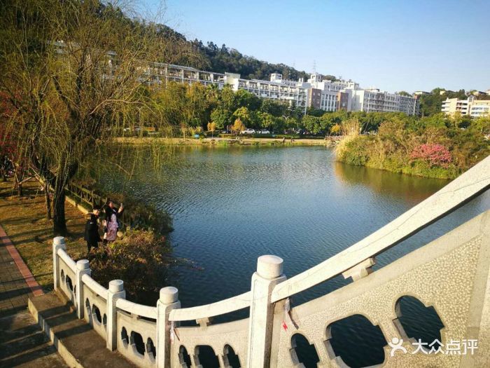 福建农林大学_福建农林大学3c协会_福建农林大学教育