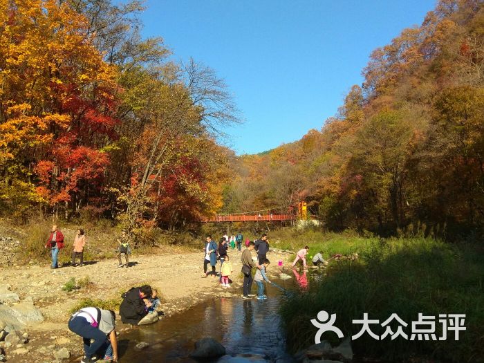 筐子沟原生态风景区图片 - 第3张