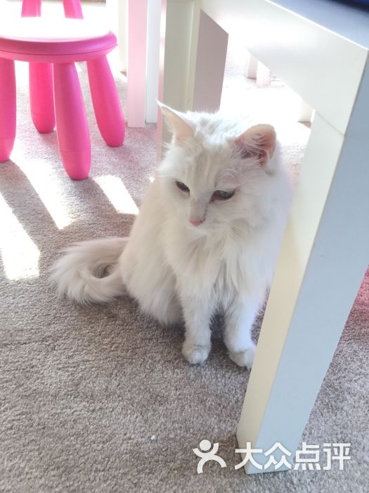 中奖了,大众点评的霸王餐。可以在这儿选择.