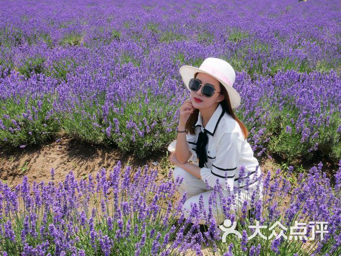 莫斯利安香草园