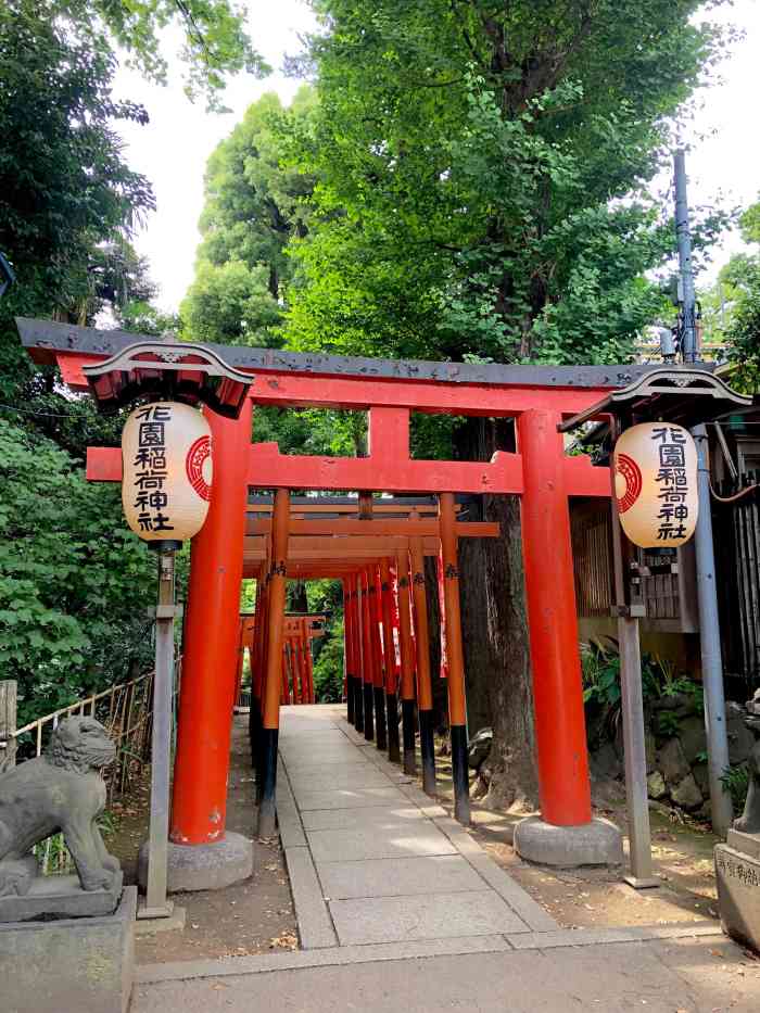 上野公园花园稻荷神社-"无滤镜下面的上野动物园 荷花神社 粉色的.