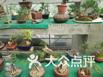 花鸟市场镇江南站