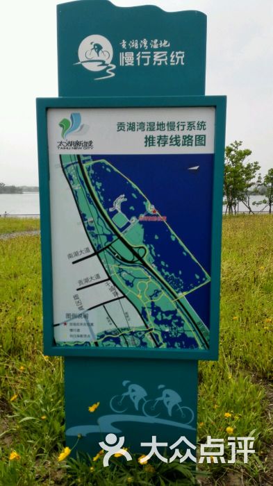 贡湖湾湿地公园图片 - 第4张