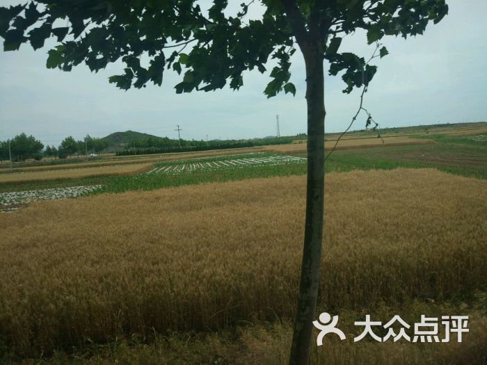 青岛中学生学农实践基地图片 - 第2张