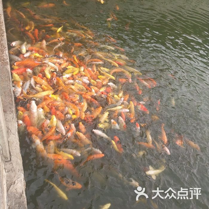 旧水坑森林公园