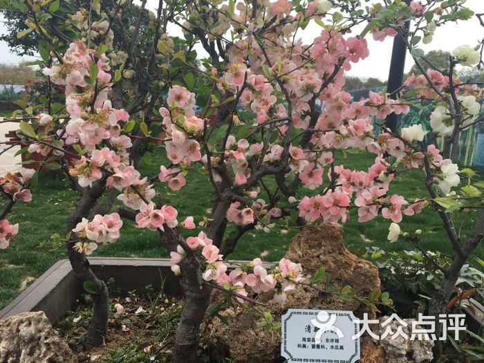 茶栖会馆(汉中门店)-图片-南京休闲娱乐-大众点