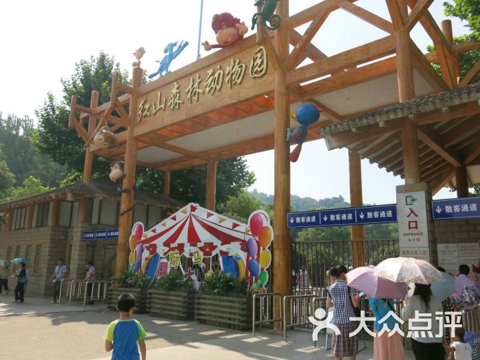 红山森林动物园图片 - 第1张