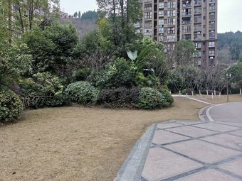 侨城御景