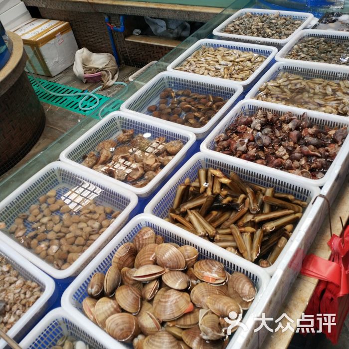 温州渔港海鲜贝类区图片 - 第2张