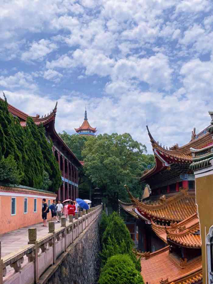 磨心山景区"景点还不错,比较大,可以说岱山这个小县城.