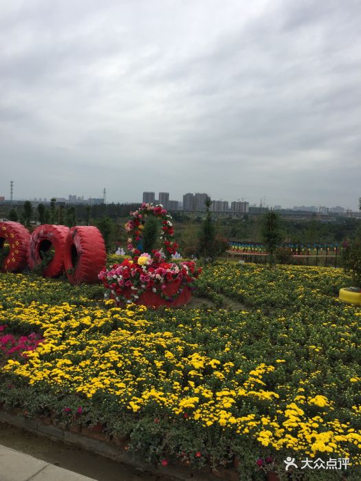 成都百花谷图片 - 第15张