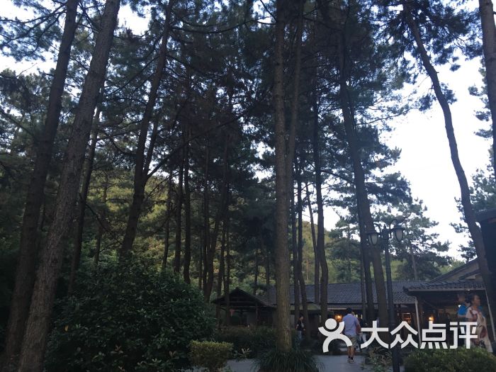 松林休闲山庄-图片-安吉县美食-大众点评网
