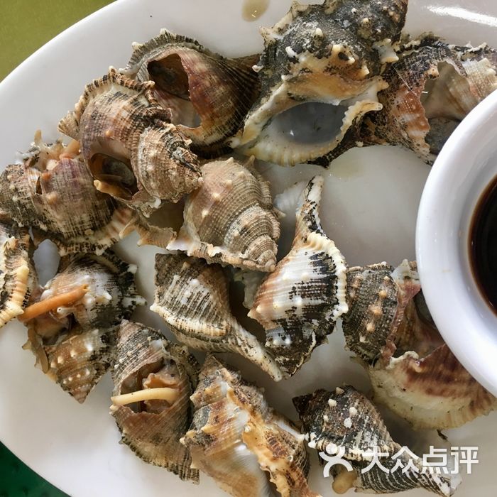 锐记美食店白灼角螺图片-北京海鲜-大众点评网