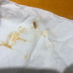 【凹串串老火锅】电话_地址_价格_营业时间_