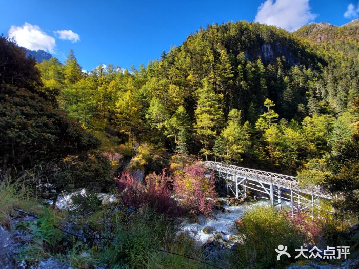 甘孜稻城亚丁景区-扎灌崩图片