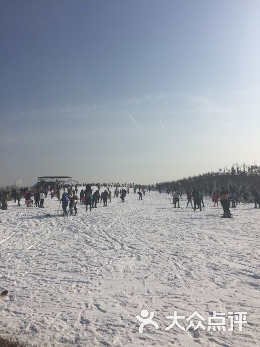 濮上园天鹅湖滑雪场-图片-濮阳周边游-大众点评网