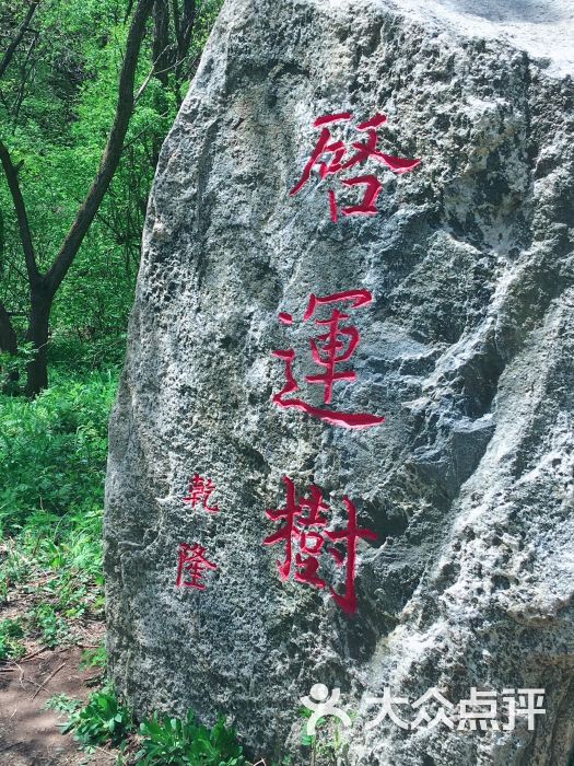 神树沟风景区-景点图片-新宾满族自治县周边游-大众